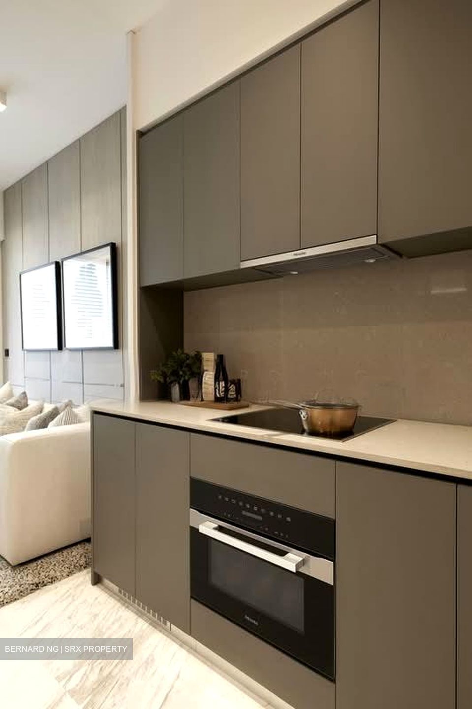 The Landmark (D3), Condominium #545472961